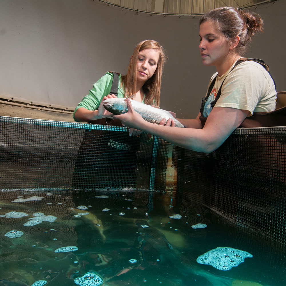 Aquaculture research