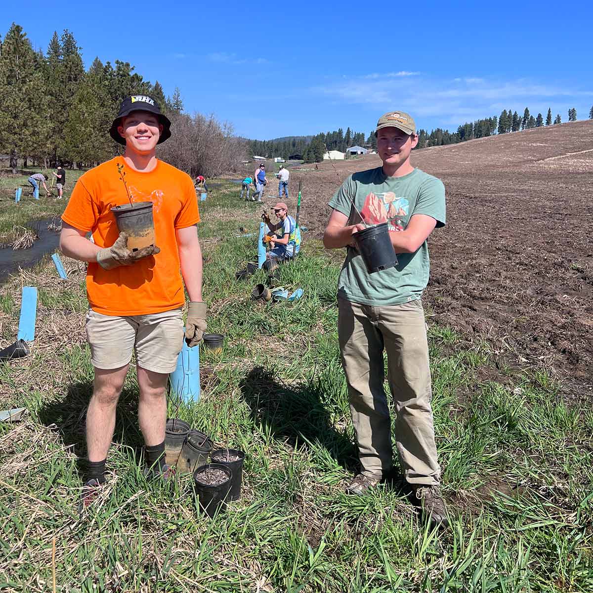 Volunteers plant saplings